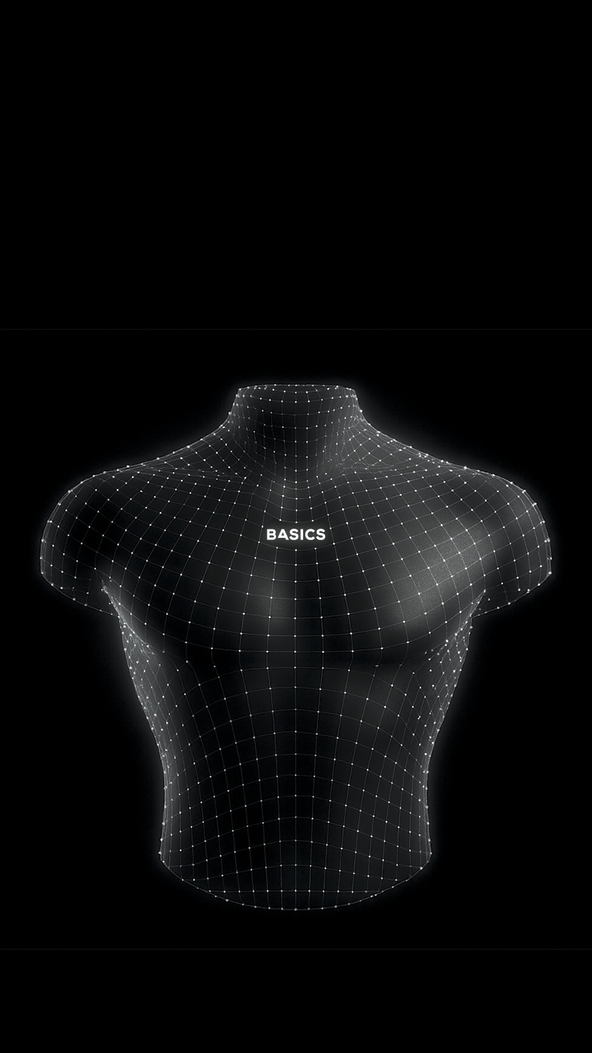 Perfect Fit wireframe bust